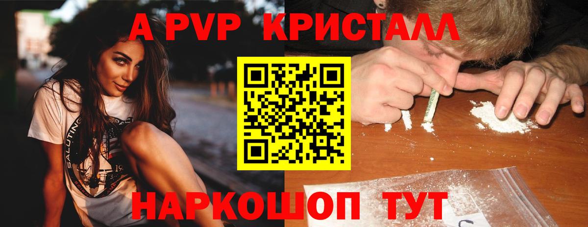 Альфа ПВП СК КРИС Елизово
