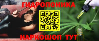 spice Краснознаменск