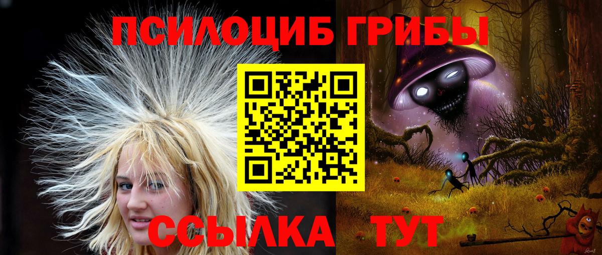 Псилоцибиновые грибы Psilocybe Елизово
