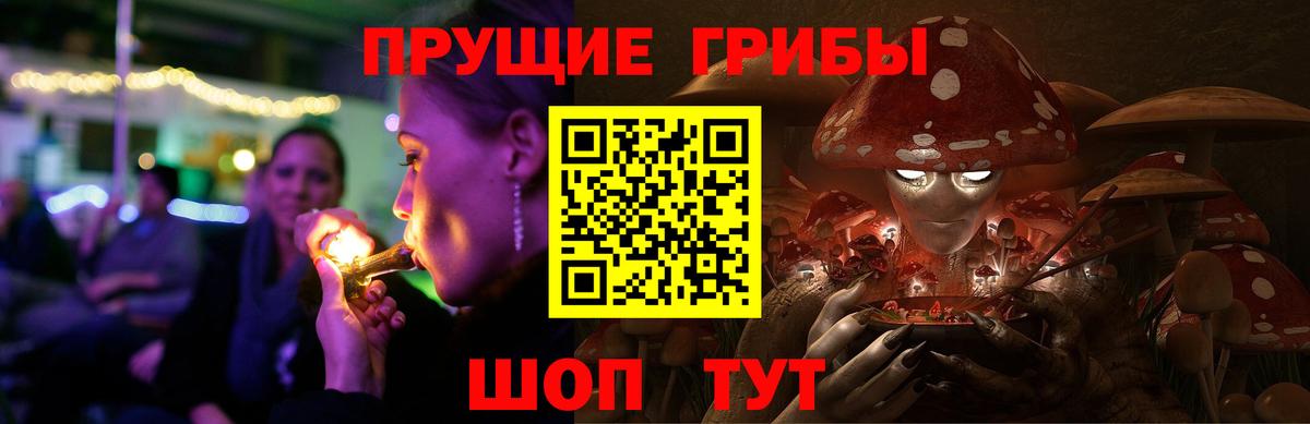 Елизово  где купить наркотик  Вход с VPN  Галлюциногенные грибы Psilocybine cubensis 